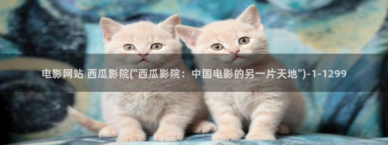 西瓜影院李宗瑞