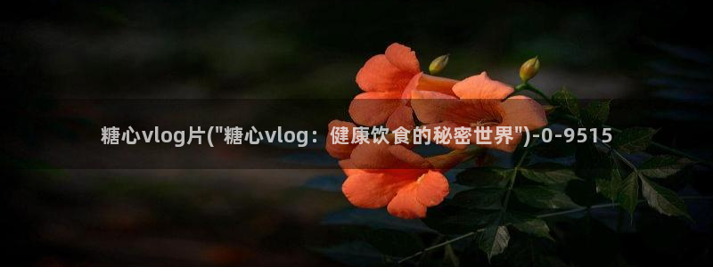糖心vlog传媒免费网站：糖心vlog片(\