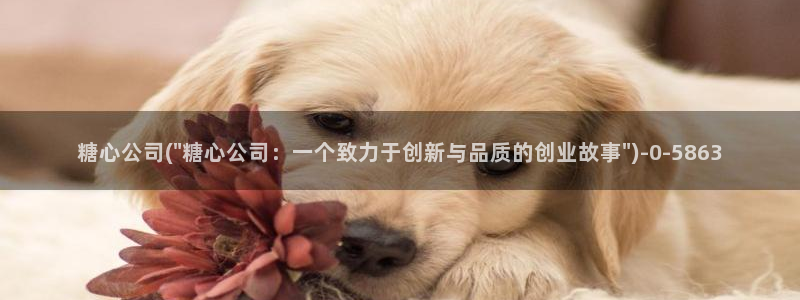 糖心vlog国产剧：糖心公司(\