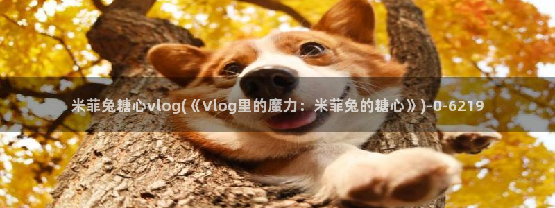 心糖vlog免费版：米菲兔糖心vlog(《Vlo