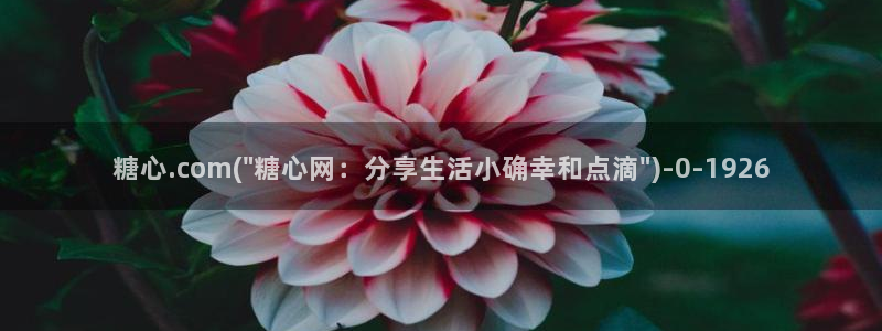 糖心vlog在哪看：糖心.com(\
