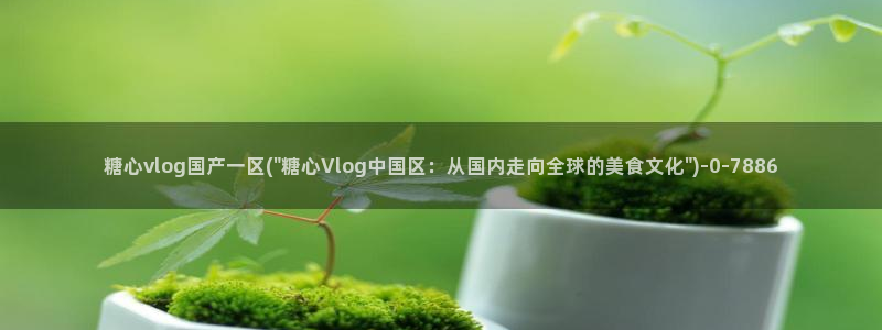 糖心vlog正版：糖心vlog国产一区(\